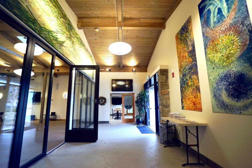 sane living center rent it
