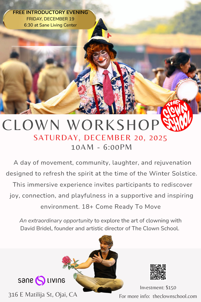 Clown Workshop