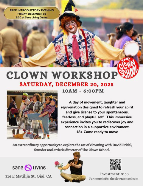 Clown Workshop