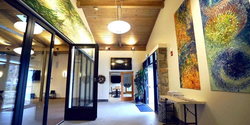 sane living center rent it